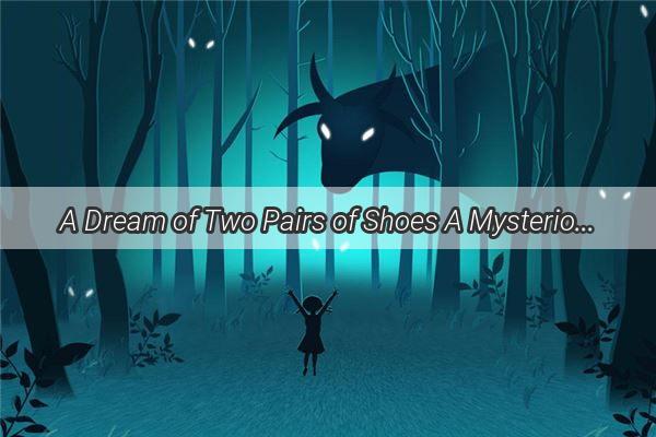 A Dream of Two Pairs of Shoes A Mysterious Journey Through the Night